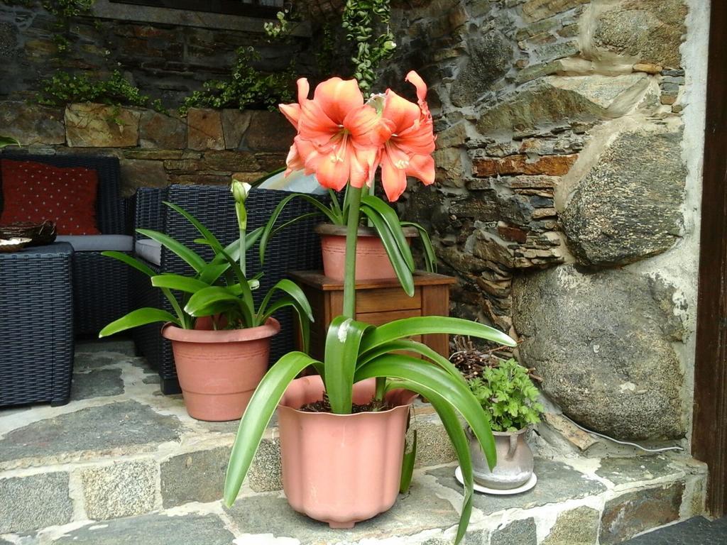 Casa Rural O Carreiro 쎄다이라 외부 사진